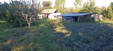 Torpaq sahələrinin satışı: 58 sot, Kənd təsərrüfatı, Barter mümkündür, Kupça (Çıxarış) — 8