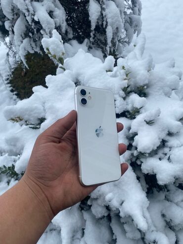 Apple iPhone: IPhone 11, 64 ГБ, Серебристый — 9