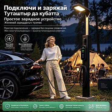 Аксессуары и тюнинг: Зарядное устройство для китайских электромобилей, сумка в комплекте — 4