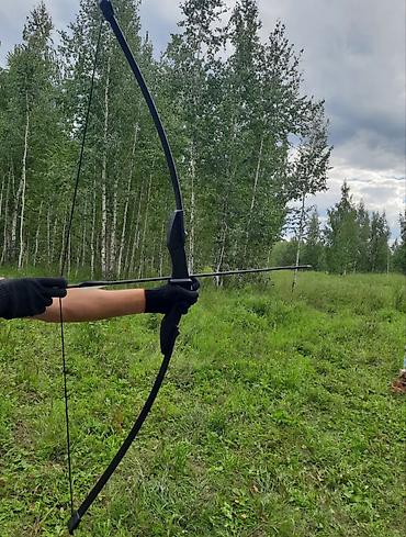 Охота и рыбалка: 🏹 Спортивный лук 40 LBS + 5 стрел в комплекте 🔥 Отличный вариант для — 2