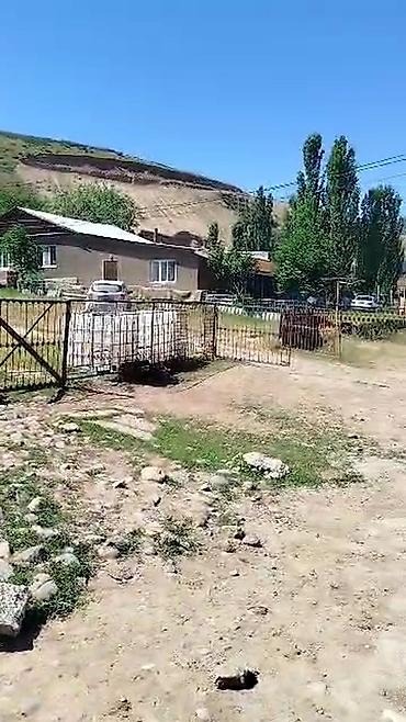 Продажа коттеджей и домов: Продаю дом+кошару в совхозе Ала-Тоо у подножия горы, есть условия для — 18