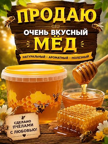 соты: Мёд из Иссык-Куля — натуральный, ароматный и полезный. - Цвет — 1