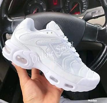 Patike: Nike TN
Cena: 3.300
Brojevi: 36-46 — 6