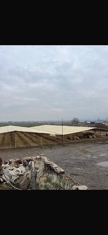 Продажа цехов, заводов, фабрик: Завод, С оборудованием, 20000 м² at lalafo.kg — 11 Продажа цехов, заводов, фабрик: Завод, С оборудованием, 20000 м² — 11