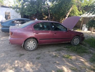 Nissan: Nissan Primera: 1998 г., 1.6 л, Механика, Бензин, Седан