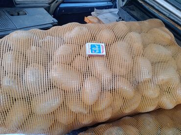 семина картошка: Картошка