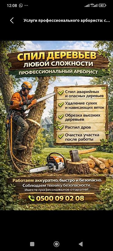 Спил деревьев любой сложности. Что выполняем: - Спил аварийных и