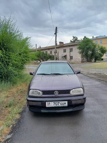 Volkswagen: Volkswagen Golf: 1993 г., 1.6 л, Механика, Газ, Хэтчбэк