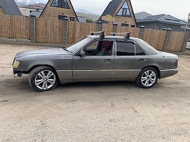 Mercedes-Benz E-Class: 1991 г., 2.9 л, Механика, Дизель, Седан