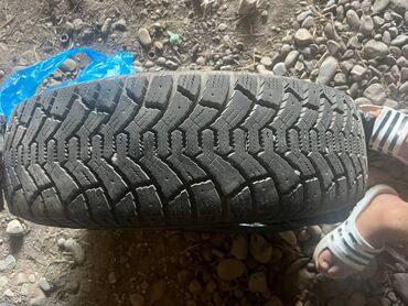 шины на трактор т 25 бу: Срочно абалы ото жакшы