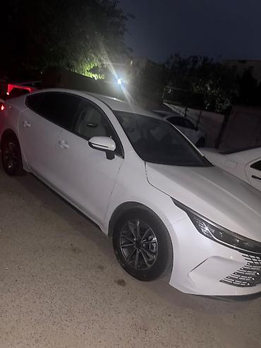 byd günlük icarə: Depozitsiz — 1