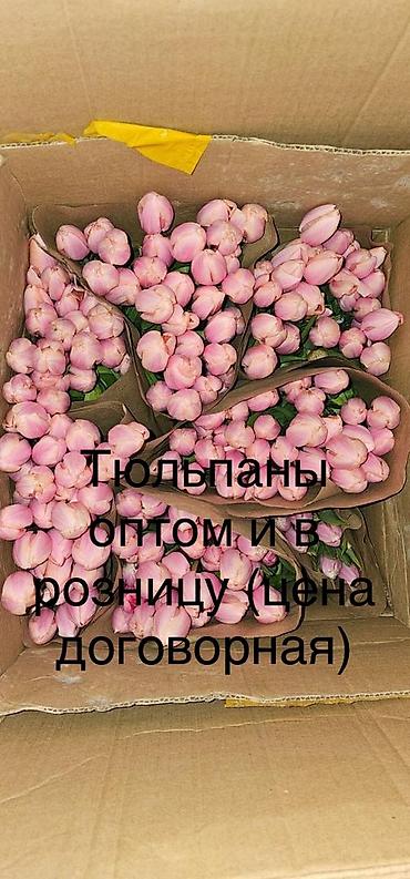 Букеты из живых цветов: Тюльпаны голландские ОПТОМ с луковицей и в розницу с оформлением (не — 10