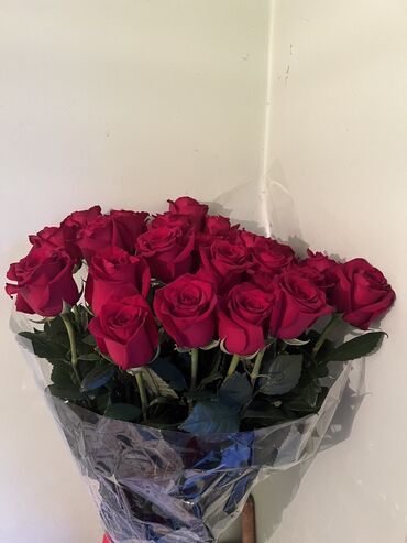 Розы: Продаю букет
27 шт