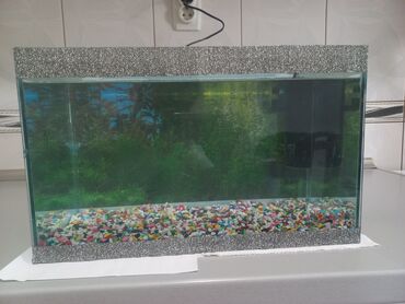 Akvariumi: AKVARIJUM za ribice dimenzija: D-40cm Š-21cm V-24,5cm sa dvodelnim — 6