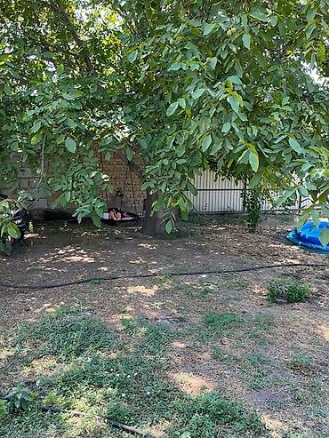 дом кантте: Продаётся жилой дом с участком. 🏡 Продается дом с времянками и — 5