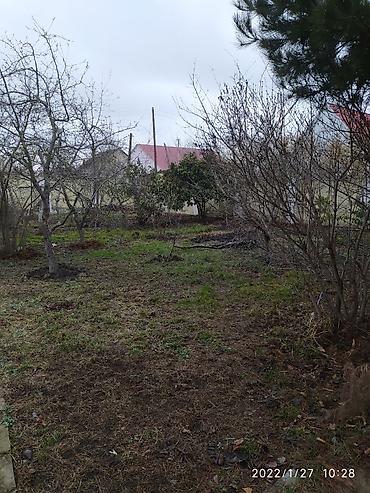 Həyət evləri və villaların satışı: 2 otaqlı, 140 kv. m, Orta təmir — 15