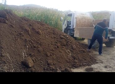 dəniz məhsulları satışı: Təbii, qara torpaq satılır. Təmiz və münbitdir, bağçılıq, əkinçilik və