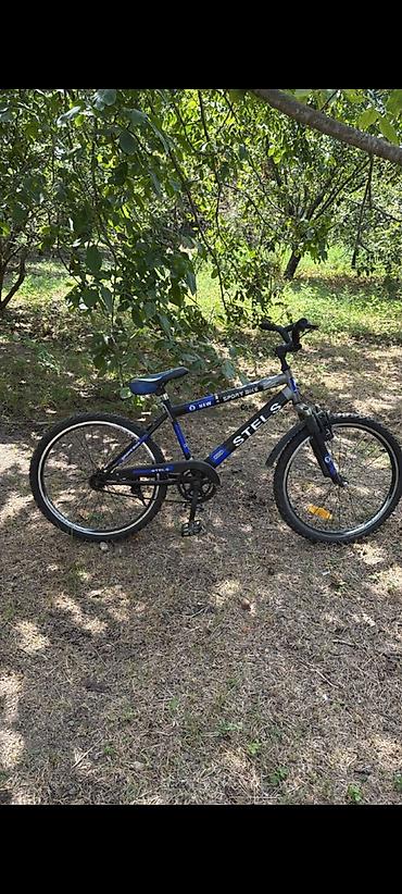 Uşaq velosipedləri: STELS Sport Bike uşaq/yeniyetmə velosipedi - Brend/model: STELS Sport — 1