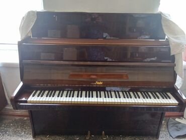 bayan musiqi aləti: Vatcapa 0505328649 yaza zəng edədə bilərsiniz piano cexiyanın