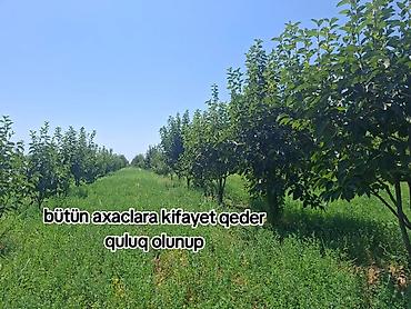 mx group inşaat: Kənd təsərrüfatı — 3