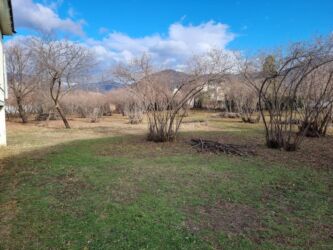 Kommersiya daşınmaz əmlakının satışı: Zaqatalada geniş həyətyanı sahəsi olan fərdi yaşayış evi - 2 — 12