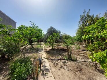 Bağ evlərinin satışı: Bakı, 150 kv. m, 7 otaqlı, İnternet, Telefon, Su — 5