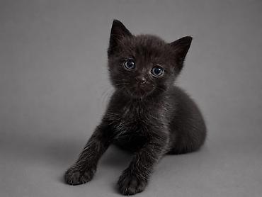 1 месяц, Мальчик