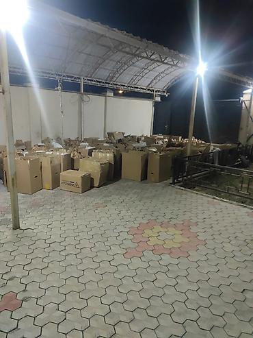 Букеты из живых цветов: Тюльпаны в крафтовой упаковке — срезанные бутоны на крепких стеблях — 9