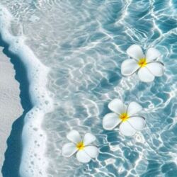 работа для домохозяек: Ищу работу на горничную с проживанием на 1 год. Желательно