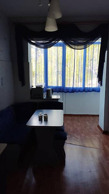 пастбища: Аренда квартиры на Иссык-Куле, Аврора, Бостери, 8 мест, Цена Целиком за жилье — 2