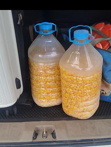 рыби: Продаю микс прикормку,на сазана, амура, состав кукуруза вареная — 7