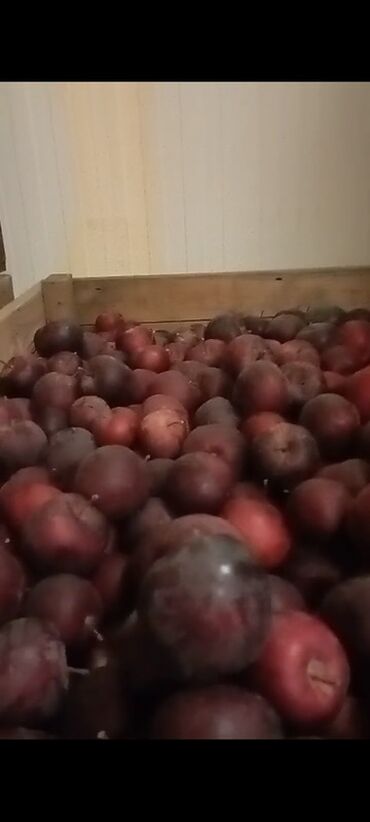 Яблоки: Яблоки — 8