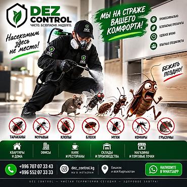 DEZ CONTROL — профессиональная дезинсекция и дератизация под ключ