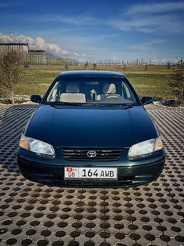 Toyota: Toyota Camry: 1999 г., 2.2 л, Автомат, Газ, Седан — 2