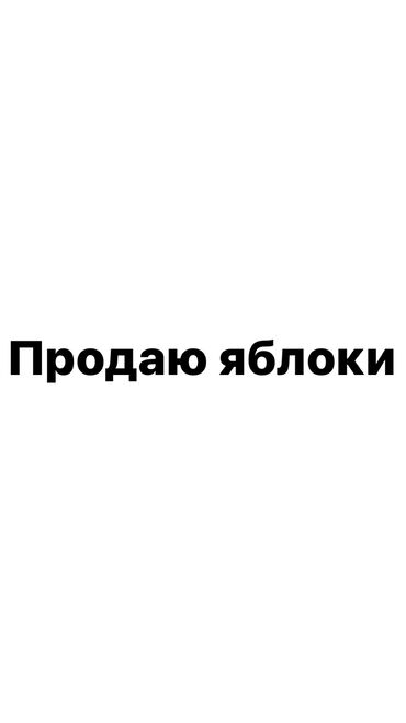 цена мдф панели в бишкеке: Яблоки Превосходное, Оптом