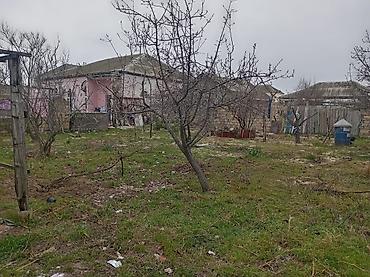 10 sot: 4 sot, Tikinti, Makler, Kupça (Çıxarış) — 3
