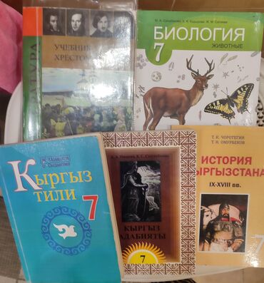 книга история 6 класс: Учебники для 7 класса по 150с включает в себя пособия по основным