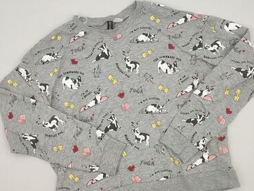 жіночі флісові кофти: H&M, Світшот жіночий, розмір S