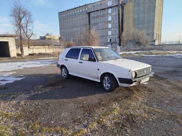 Volkswagen: Volkswagen Golf: 1989 г., 1.8 л, Механика, Бензин, Хэтчбэк