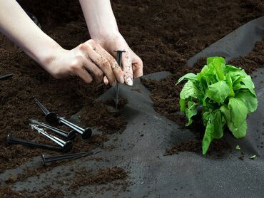Другие товары для дома и сада: Черное агроволокно - называют мульчирующим. ⠀ Оно сохраняет влагу в