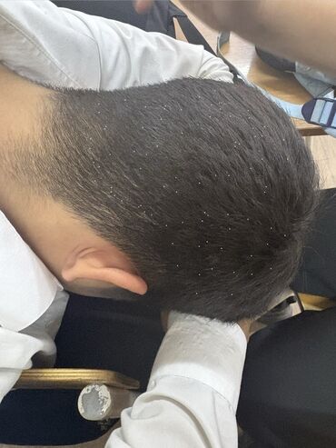 уничтожение блох клопов: Дезинфекция, дезинсекция, | Блохи, | Дома