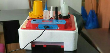 İnkubatorlar: Inkubator Rayonlara çatdırılma poct vasites ile heyata kechirilir 63 — 8