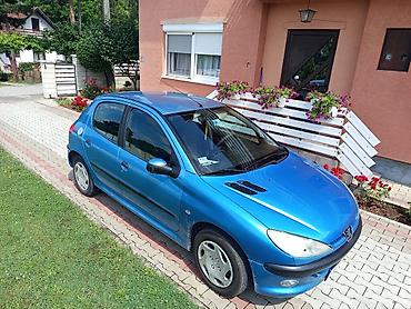 putnički kombi 8 1: Peugeot 206, plava boja, 5 vrata, benzinac. Kompaktan gradski — 2