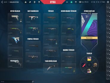 viplife şəxsi kabinet: Valorant Eu hesab, 4 vandal, 3 phantom, 1 guardian, 2 savaş bileti