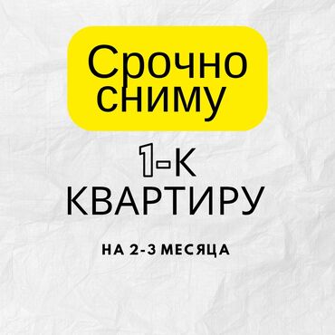 Сниму квартиру: 1 комната, 45 м², С мебелью