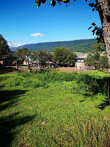 Torpaq sahələrinin satışı: Kənd təsərrüfatı — 1