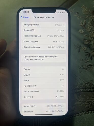 Apple iPhone: IPhone 12 Pro Max, Б/у, 256 ГБ, Синий, Защитное стекло, Чехол, 80 %