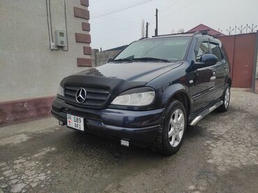 Mercedes-Benz: Mercedes-Benz M-Class: 2000 г., 4.3 л, Автомат, Бензин, Внедорожник