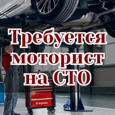 автослесарь: Требуется моторист на СТО. 

Дизель спринтер. Оплата высокая.




25/3