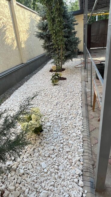 Дизайн, проектирование: Сеем газоны Установка автополива Установка капельного полива Услуги — 16